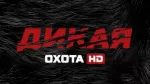 Дикая охота HD